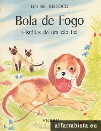 Bola de fogo