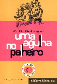 Um Agulha no Palheiro