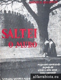 Saltei o muro