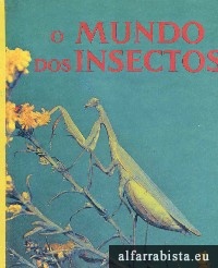 O mundo dos insectos