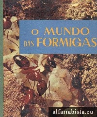 O mundo das formigas