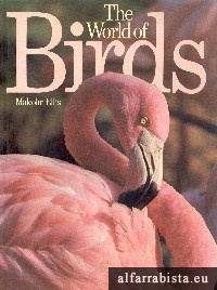 The world of birds