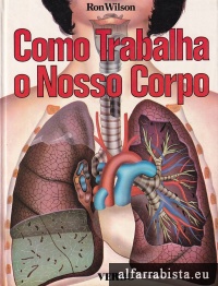 Como trabalha o nosso corpo