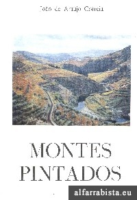 Montes Pintados