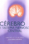 Crebro e sistema nervoso central