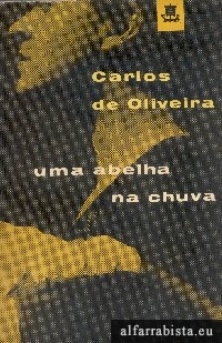 Uma abelha na chuva