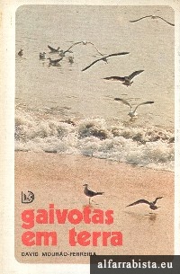 Gaivotas em Terra