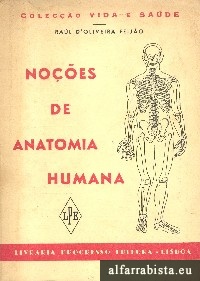 Noes de anatomia humana