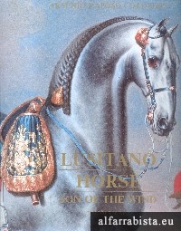 Lusitano Horse