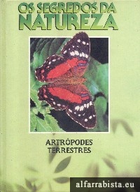 Artrpodes terrestres