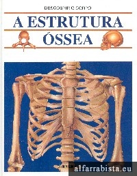 A estrutura �ssea