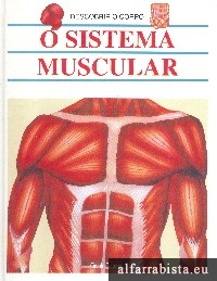 O sistema muscular