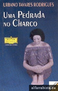 Uma pedrada no charco