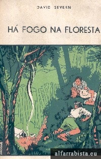 H� fogo na floresta