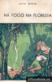 H fogo na floresta