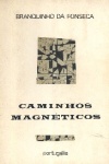 Caminhos magnticos