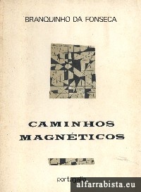 Caminhos magnticos