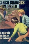 O segredo da bruxa da cabana