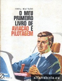 Meu primeiro livro de aviao e pilotagem