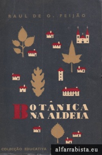 Botnica na aldeia