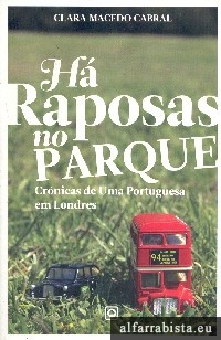 H� raposas no parque