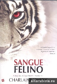 Sangue felino