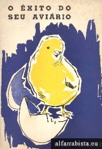O xito do seu avirio