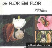 De flor em flor