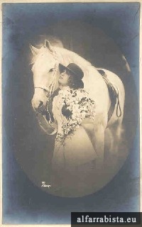 6 Postais Antigos  - Cavalo