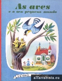 As aves e o seu pequeno mundo