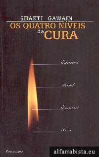 Os quatro nveis da cura