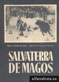 Salvaterra de Magos
