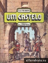 Veja por dentro um castelo