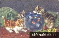 Postal Antigo - Gatos a brincar com aqurio