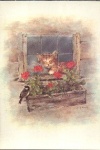 Postal Antigo - Gatinho  janela