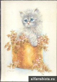 Postal Antigo - Gatinho