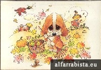 Postal Antigo - C�ozinho no jardim