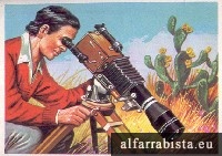 30 Cromos da Caderneta Panorama Zool�gico