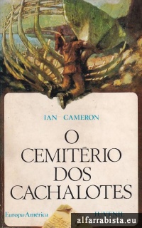 O cemitrio dos cachalotes