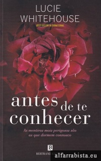 Antes de te conhecer