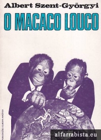 O macaco louco