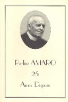 Padre Amaro 25 anos depois