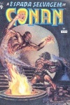 A Espada Selvagem de Conan - 28