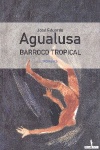 Barroco tropical