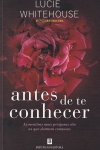 Antes de te conhecer