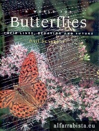 A world for butterflies