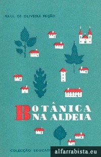 Botnica na aldeia