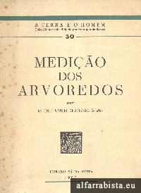 Medio dos arvoredos