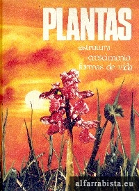 Plantas