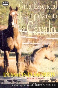 Guia essencial do comportamento do cavalo